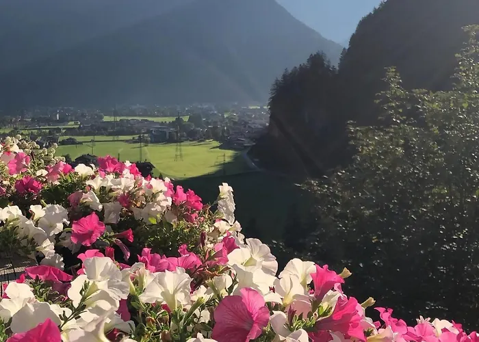 Appartement In Near Lift *